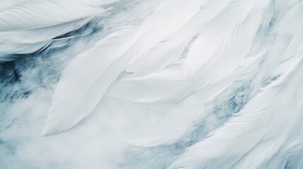 Obraz premium A gentle arrangement of white feathers lies on a soft blue backdrop, evoking a sense of calmness and purity in the composition