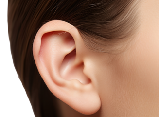 PNG Women earring jewelry adult.