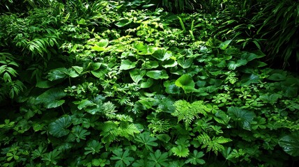 Lush Green Foliage Background Texture