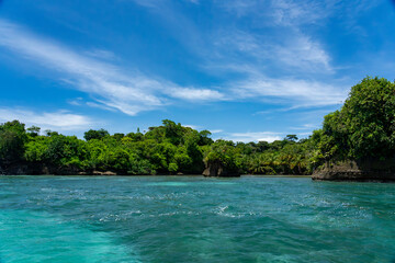 Tropical Island Paradise with Crystal Clear Water, Lush Greenery, and Serene Beaches - Stunning Caribbean Landscape for Eco-Tourism, Adventure, and Unspoiled Nature Travel Destinations