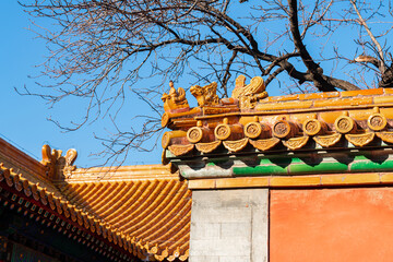 China Beijing Palace Museum Ancient Architecture Landscape