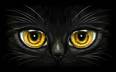 Cat eyes glow in the dark on a black background.