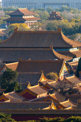 China Beijing Palace Museum Ancient Architecture Landscape