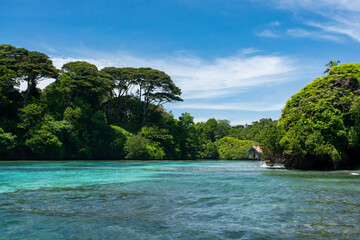 Tropical Island Paradise with Crystal Clear Water, Lush Greenery, and Serene Beaches - Stunning Caribbean Landscape for Eco-Tourism, Adventure, and Unspoiled Nature Travel Destinations