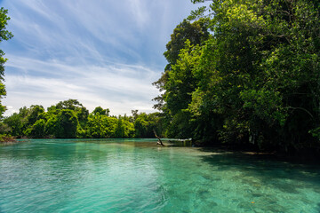 Tropical Island Paradise with Crystal Clear Water, Lush Greenery, and Serene Beaches - Stunning Caribbean Landscape for Eco-Tourism, Adventure, and Unspoiled Nature Travel Destinations