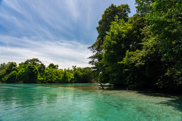 Tropical Island Paradise with Crystal Clear Water, Lush Greenery, and Serene Beaches - Stunning...