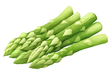 Illustration of Fresh Green Asparagus Spears