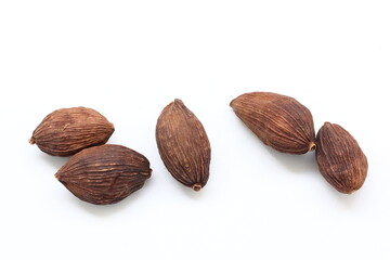 Cardamom isolated on white background