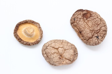 Mushroom on white background 