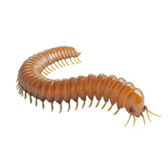 Realistic Depiction of a Millipede Crawling on a White Background