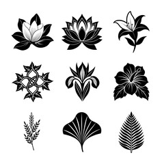 9 icon set of black and white flowers