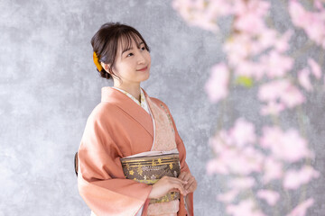 訪問着の着物を着た女性