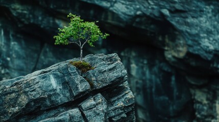 A rustic farmhouse with a red barn, surrounded by fields of golden wheat under a blue sky.