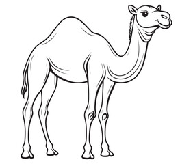 Camel cartoon illustration coloring page of a cute camel