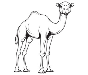 Camel cartoon illustration coloring page of a cute camel