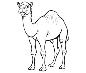 Camel cartoon illustration coloring page of a cute camel