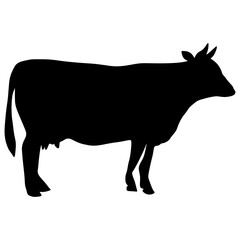 Black silhouette cow Hand drawn illustration