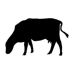 Black silhouette cow Hand drawn illustration