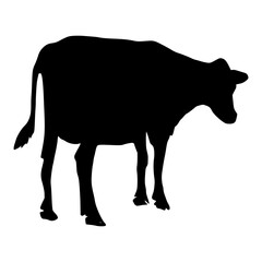 Black silhouette cow Hand drawn illustration