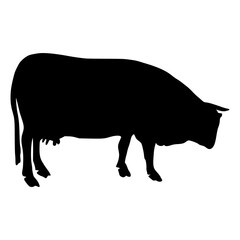 Black silhouette cow Hand drawn illustration
