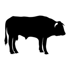 Cow Silhouette Hand Drawn
