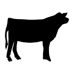 Cow Silhouette Hand Drawn