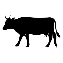 Cow Silhouette Hand Drawn
