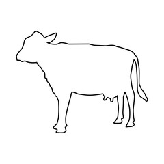 line cow Hand drawn illustration