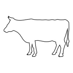 line cow Hand drawn illustration