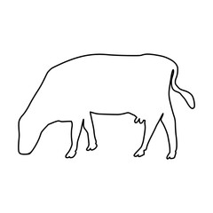 line cow Hand drawn illustration