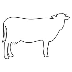 line cow Hand drawn illustration