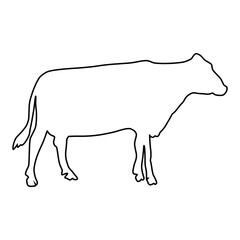 line cow Hand drawn illustration
