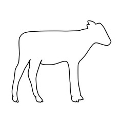 Cow line Hand Drawn