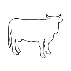 Cow line Hand Drawn