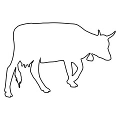 Cow line Hand Drawn
