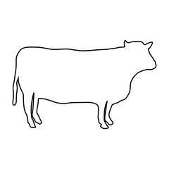 Cow line Hand Drawn