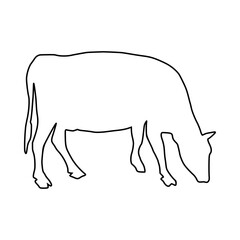 Cow line Hand Drawn
