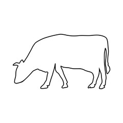 Cow line Hand Drawn