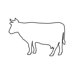 Cow line Hand Drawn