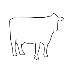 Cow line Hand Drawn