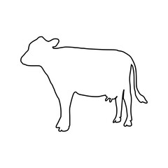 Cow line Hand Drawn