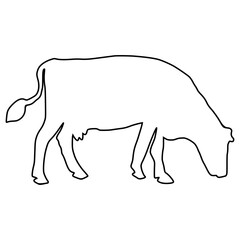 Cow line Hand Drawn
