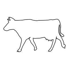 Cow line Hand Drawn