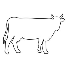 Cow line Hand Drawn