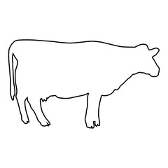 Cow line Hand Drawn