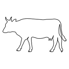 Cow line Hand Drawn