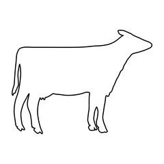 Cow line Hand Drawn