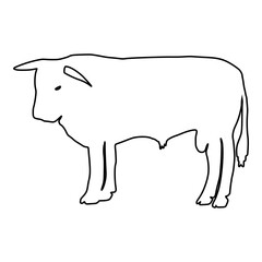Cow line Hand Drawn