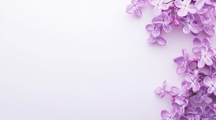 White lilac background gradient, textured