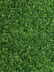 A close up of a green grassy field